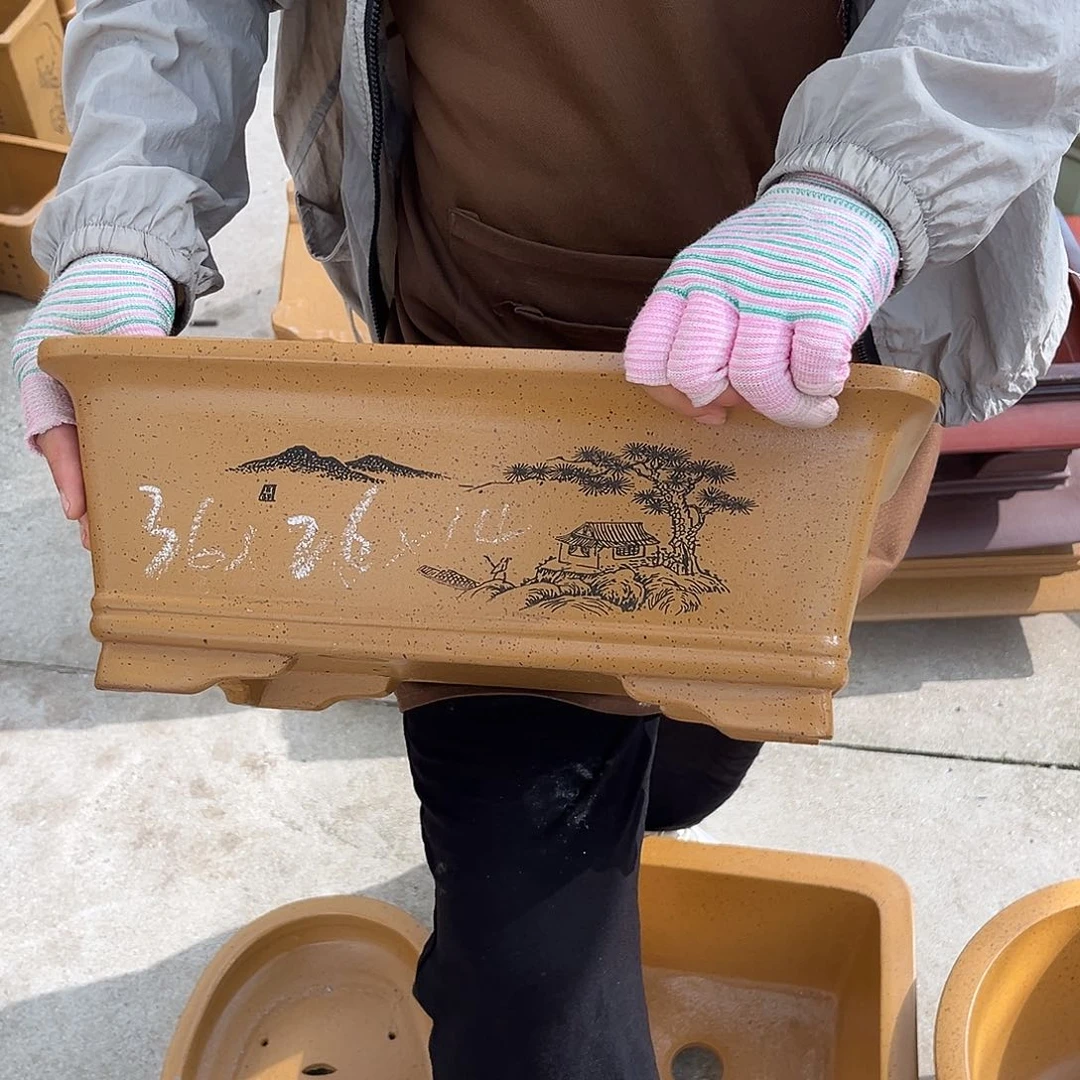 紫砂花盆盆景艺术