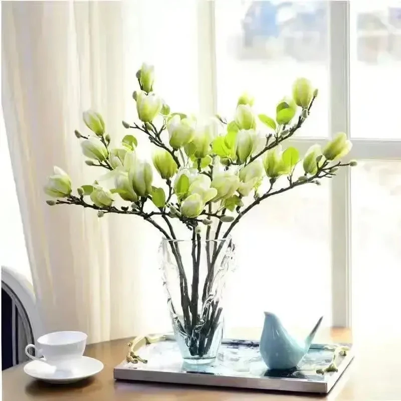 【遇水开花】水培玉兰花卉室内水培客厅办公室内鲜切枝条桃花绿植