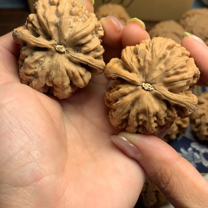 吊坠文玩核桃十**生粗筋