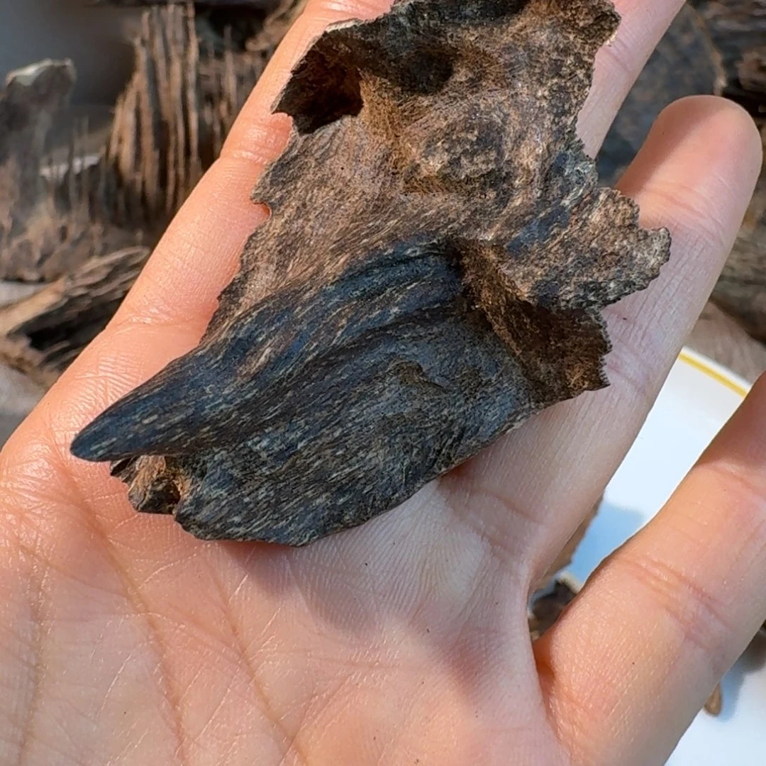 沉香碎屑沉香深圳壳仔一个2.3