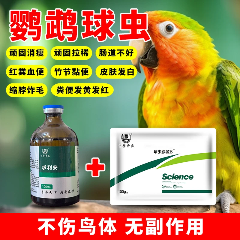 【小球套装】一套兑水200-300斤 使用3-5天即可 鹦鹉养殖用复配型