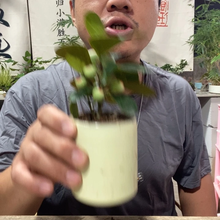 暖***冰无花朵退款拉黑拉黑110