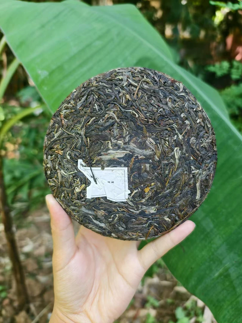 2015 麻黑石门坎 头春头采  普洱生茶 100g饼  （带茶样）