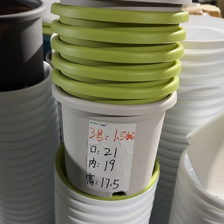 四季3#口径21灰白10个无托