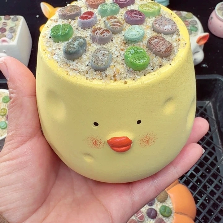 507零下地区记得拍保温箱