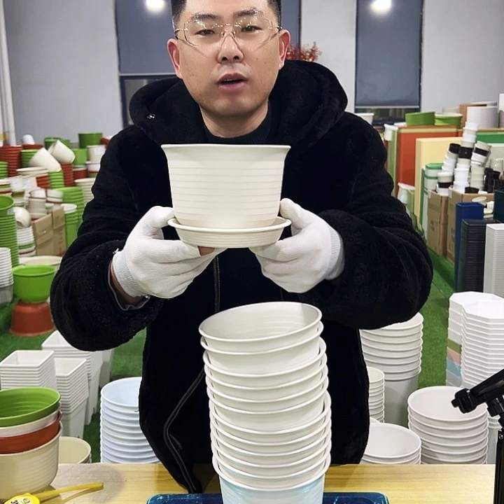 正品矮陶口15高11白色10只带托