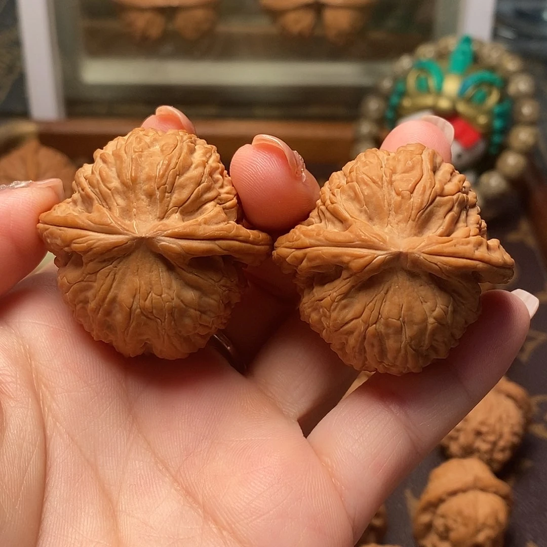 桃核把件全品白狮子40尺