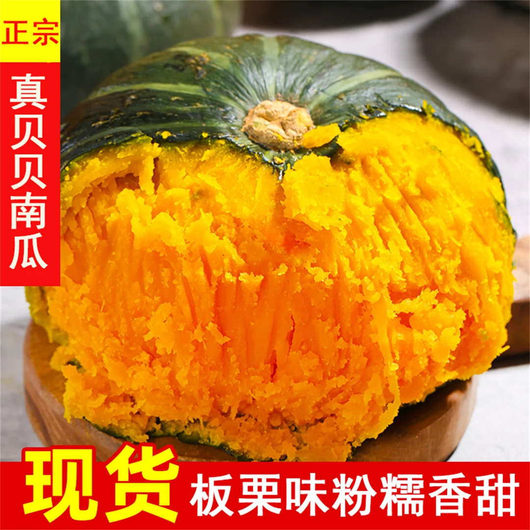 正宗贝贝宝宝南瓜新鲜板栗味小南瓜老瓜婴儿孕妇粉糯香甜辅食蔬菜