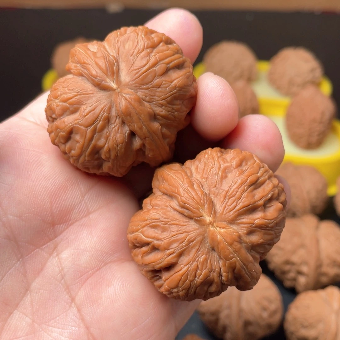 个**人核农文玩核桃元宝黄点