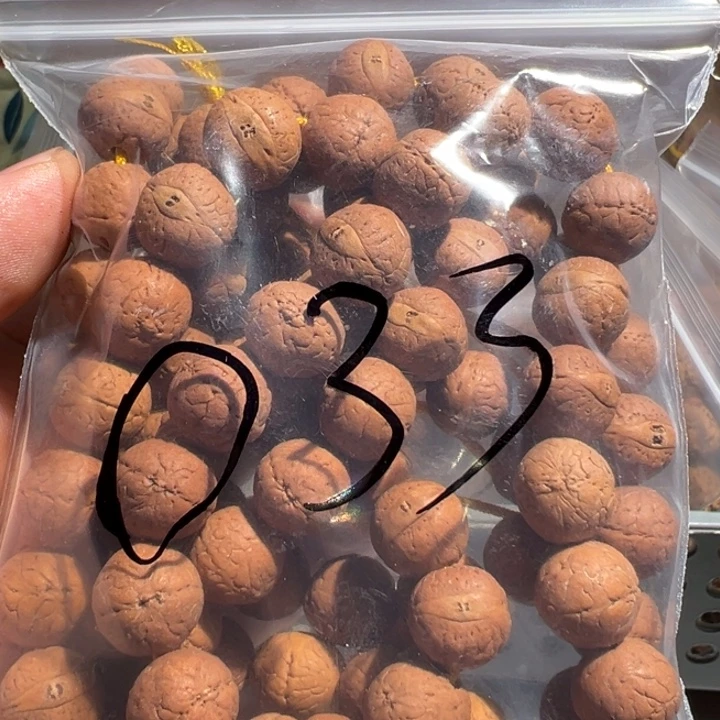 吊坠金刚菩提33号凤眼