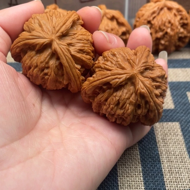 无***声核桃白狮子43核桃