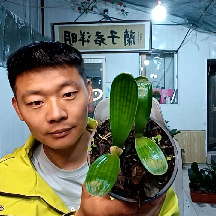 @郭洪喜39元佛光。