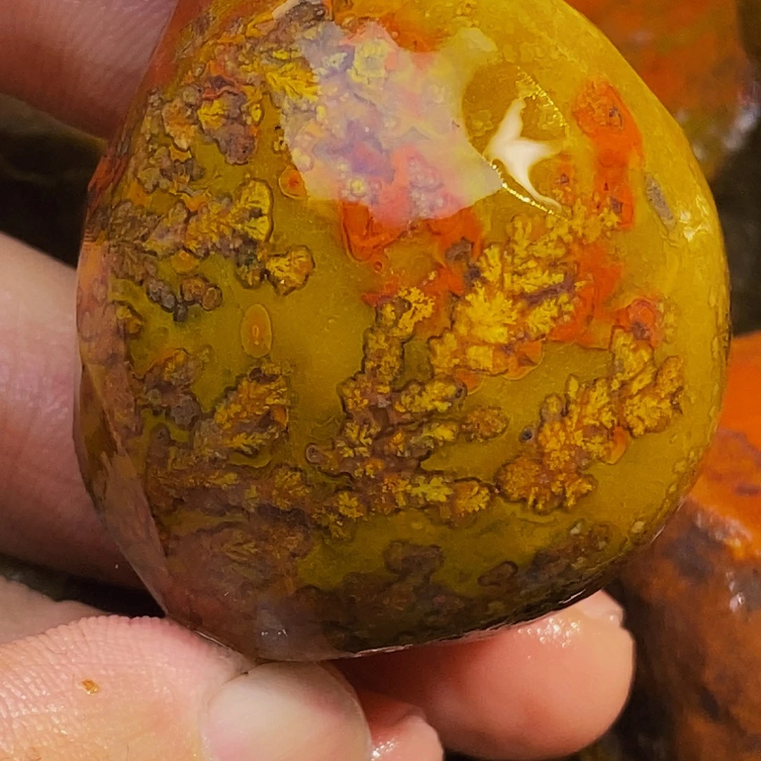 未镶嵌定制玛瑙富**?战国红玛瑙