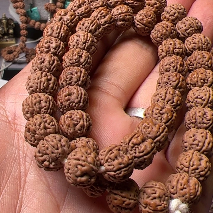 手串金刚菩提10.6纯血老树王