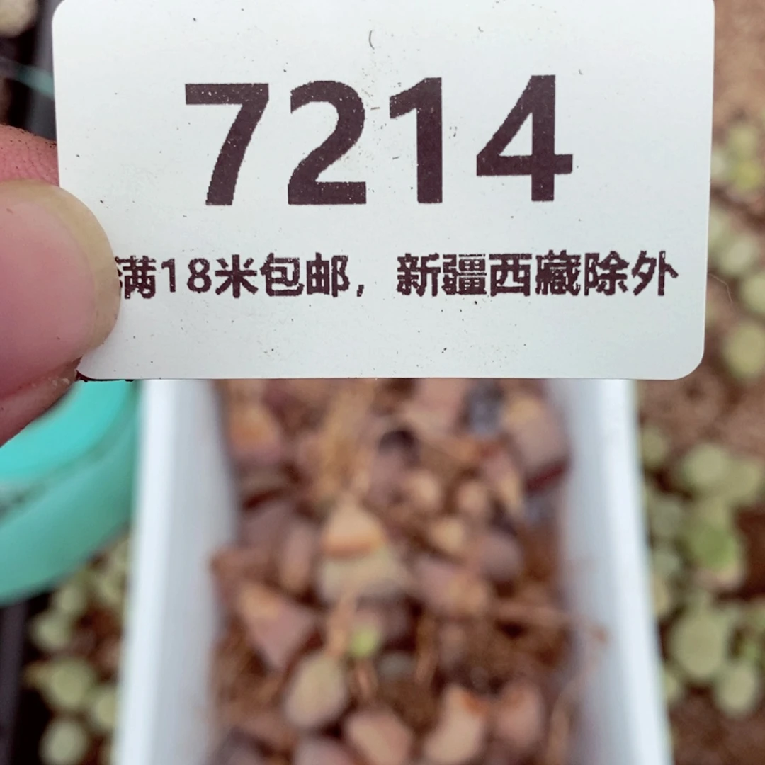 -*我是一只小小鸟地域鬼7214