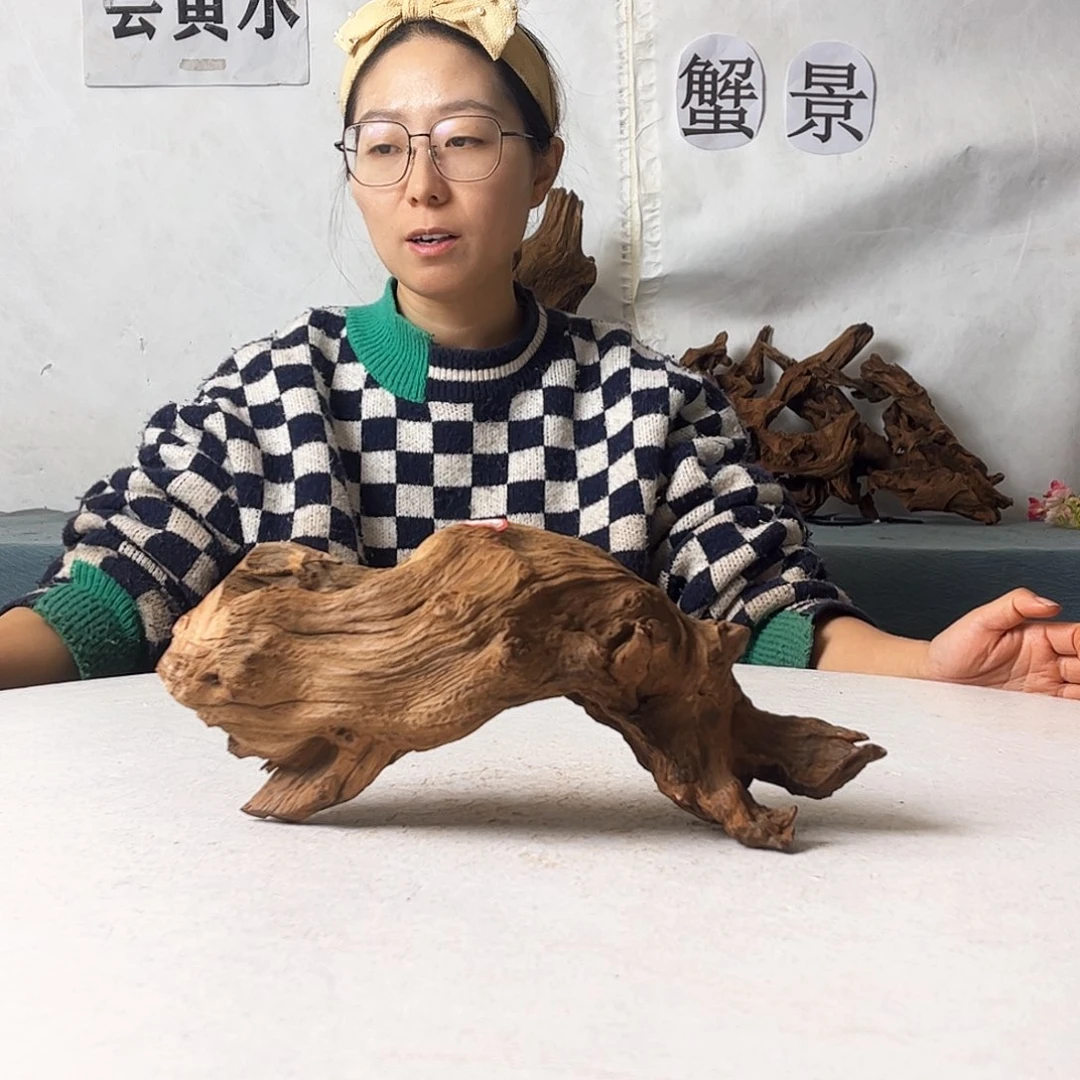 沉木造景寄居蟹造景