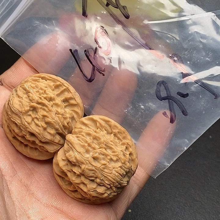 【闪购商品】文玩核桃把件依*?磨盘
