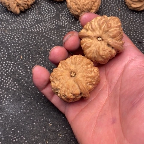 文玩核桃把件蛤蟆30