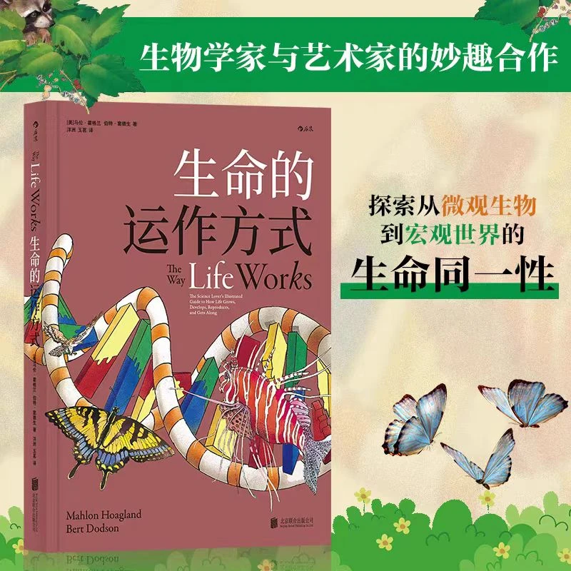 后浪的店生命的运作方式