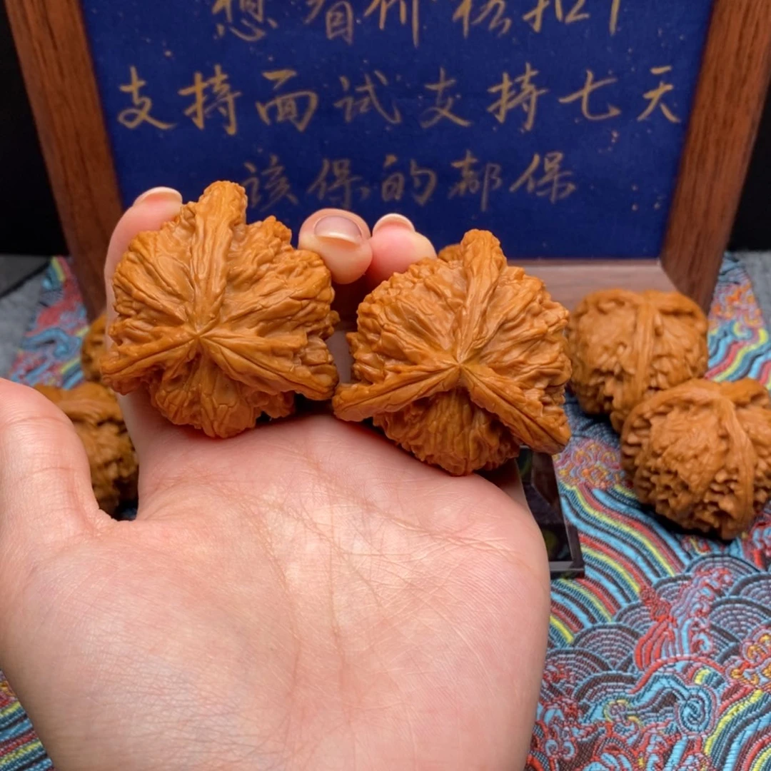 【闪购商品】倬****部白狮