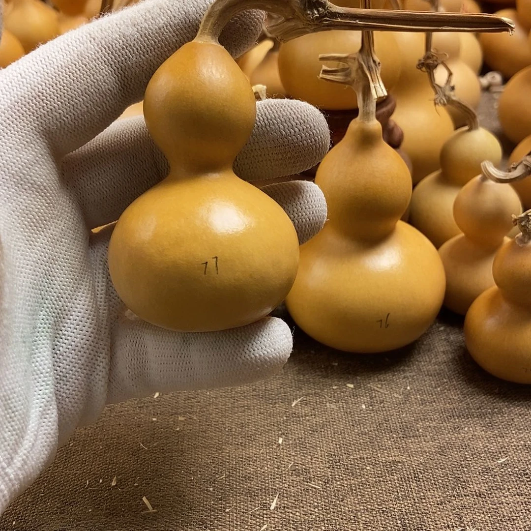 文玩葫芦 完美主义者 慎拍77