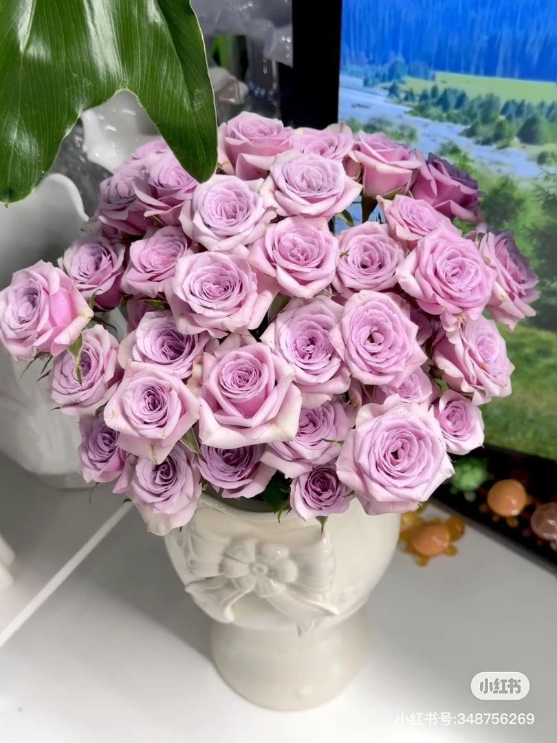 花欢喜莱拉多头玫瑰A级，我要买我不售后
