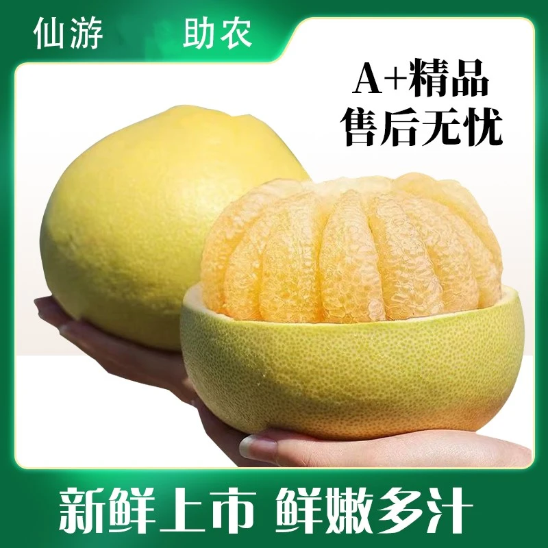 【顺丰发货】福建仙游度尾文旦柚正宗老树当季新鲜现摘孕妇时令水果