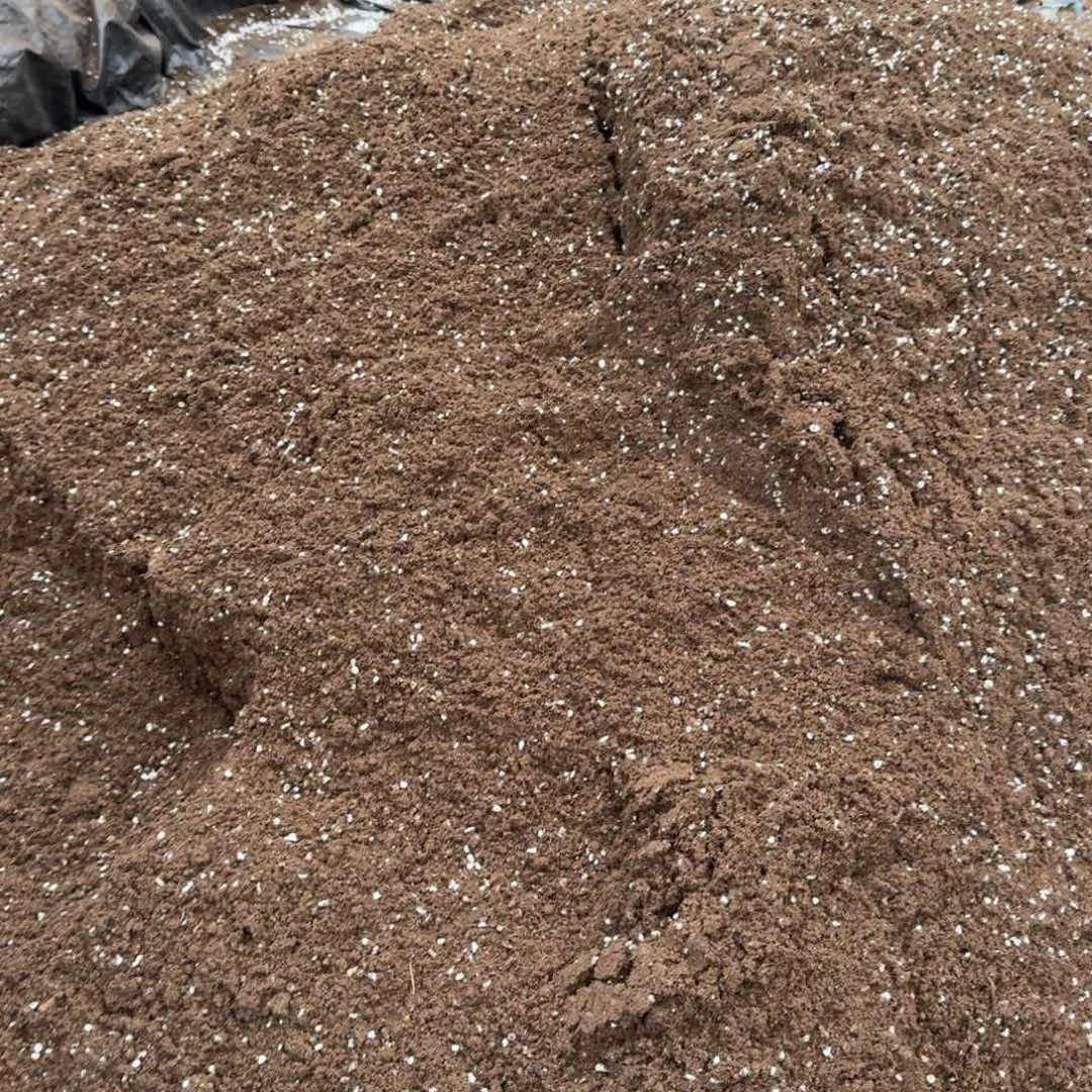 带珍珠盐进口泥炭10l量拍