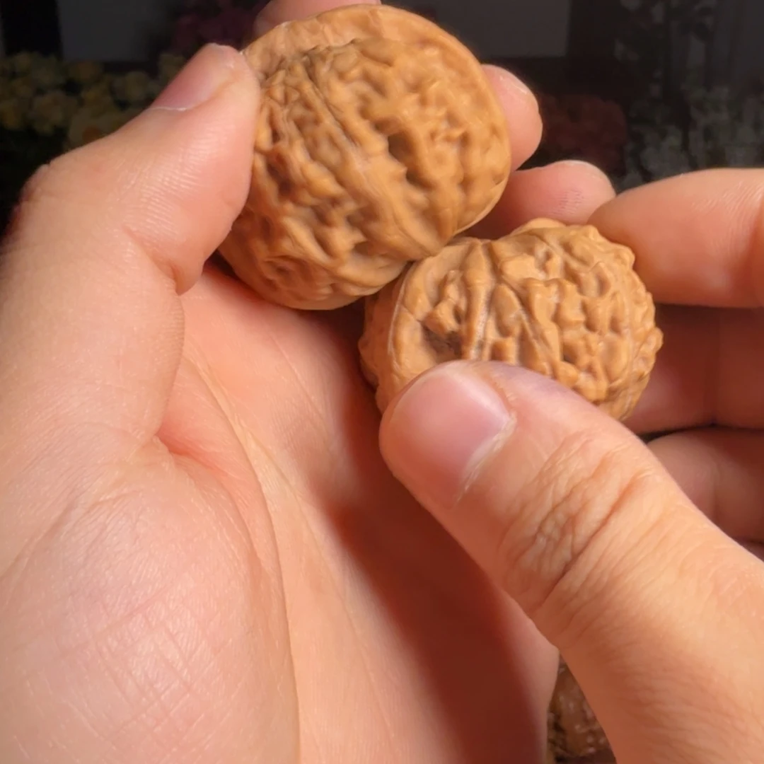 核桃天地41全品，一般对儿