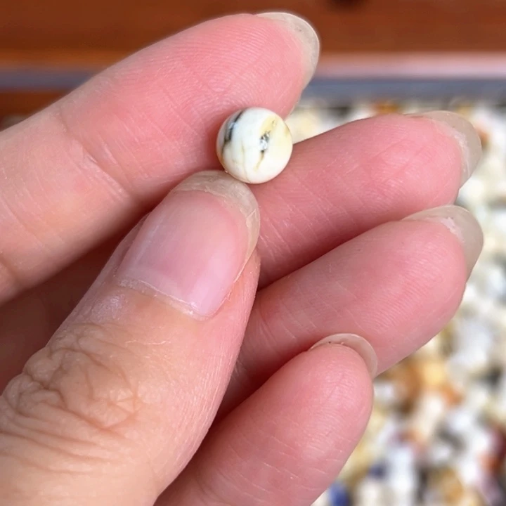 未镶嵌蜜蜡裸石7.7mm一个