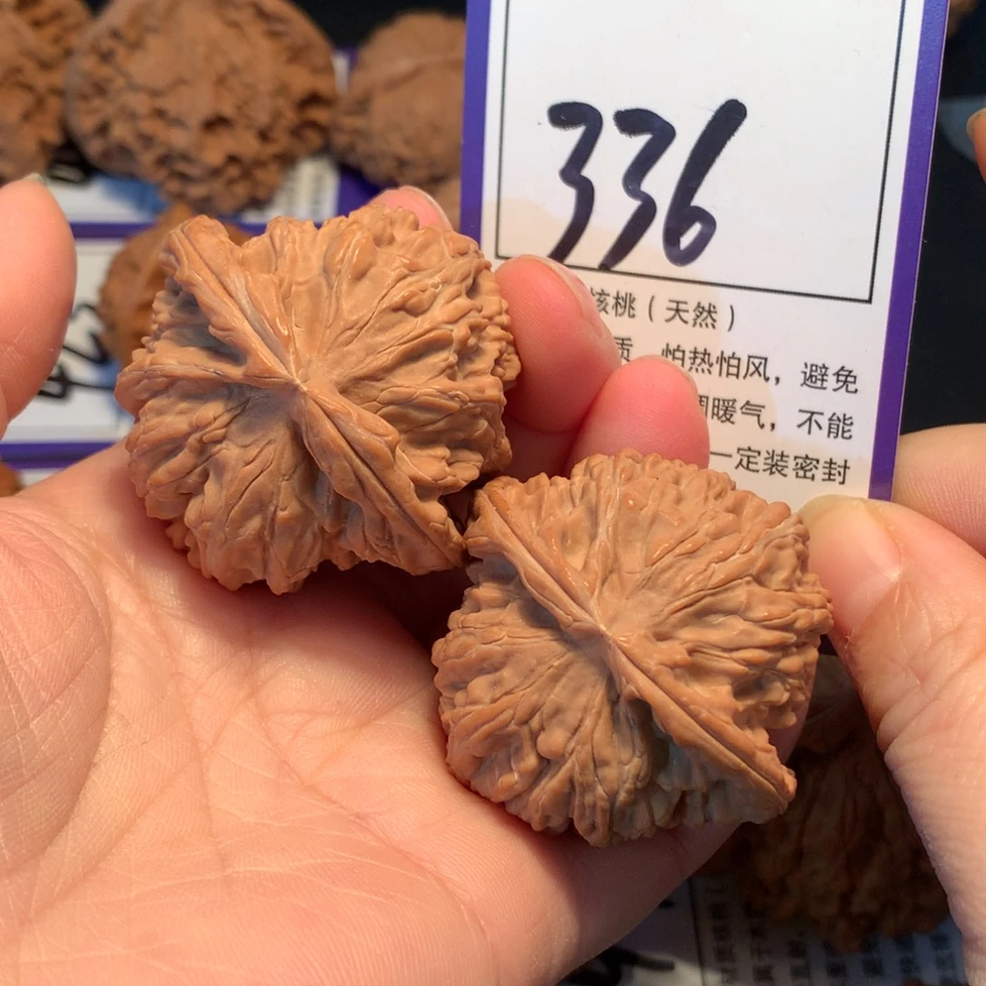 核桃336白狮子4.4