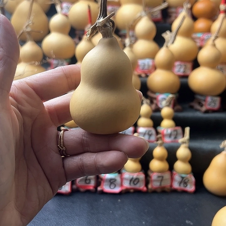 梦***?天然的葫芦葫芦葫芦