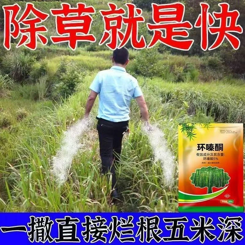 环嗪酮除草神器灭竹剂环嗪铜除灌木烂根铁路公路开荒坟头上除草剂