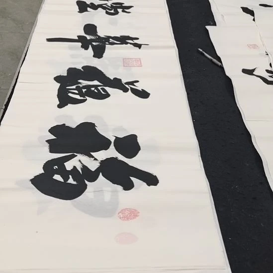翰墨申国栋老师作品一副