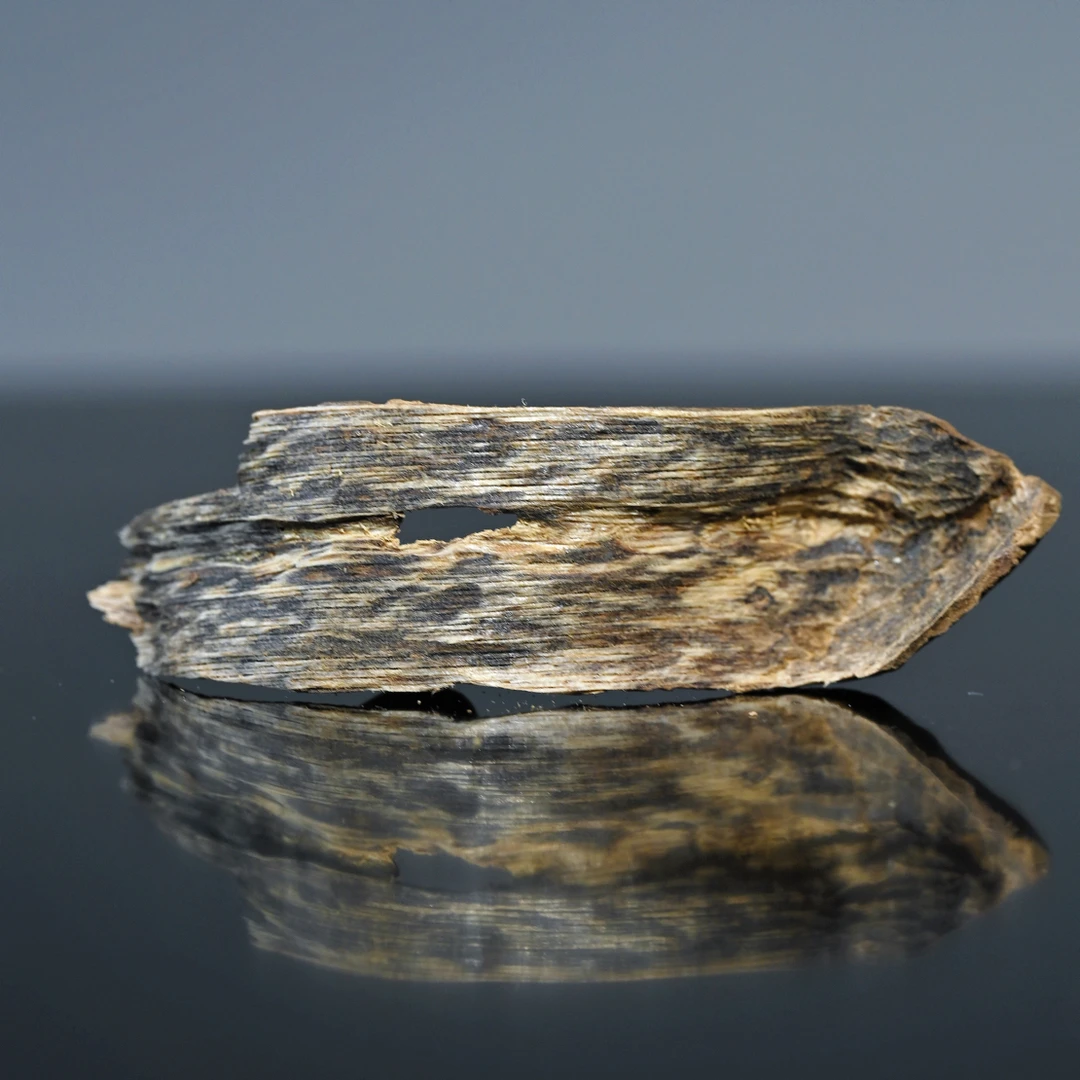 海南尖峰岭大山包壳 0.69克 熏香原料