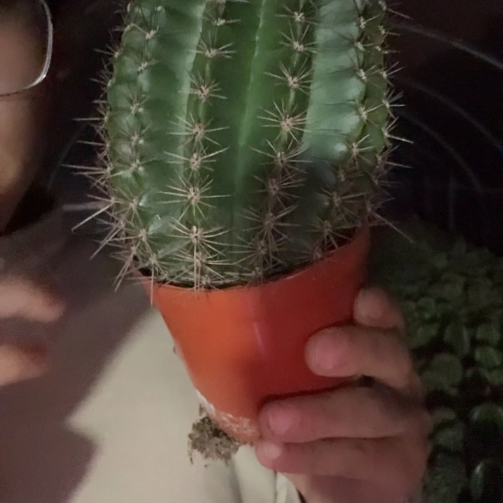 贝***螺无花朵彩草哈哈哈哈哈哈哈