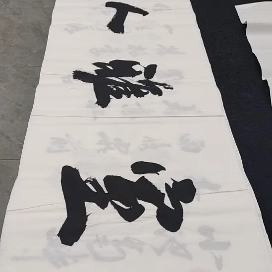 翰墨申国栋老师作品一副