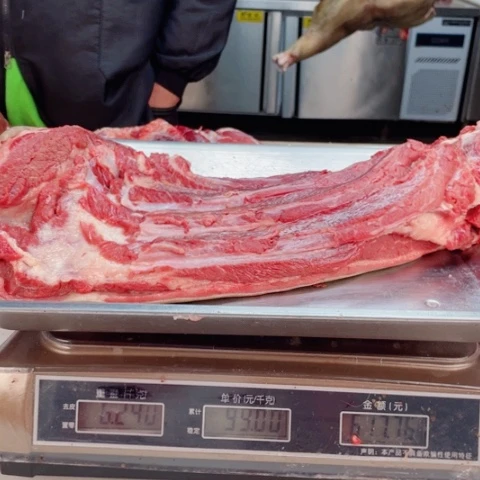 【闪购商品】冷冻保存30天包装河北省背*