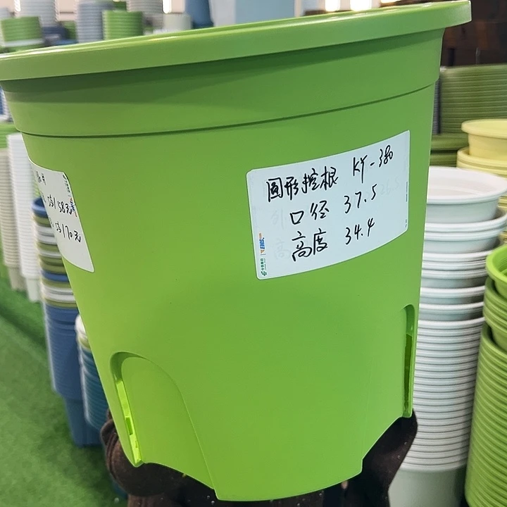 正品圆控口37.5高34果绿无托3只