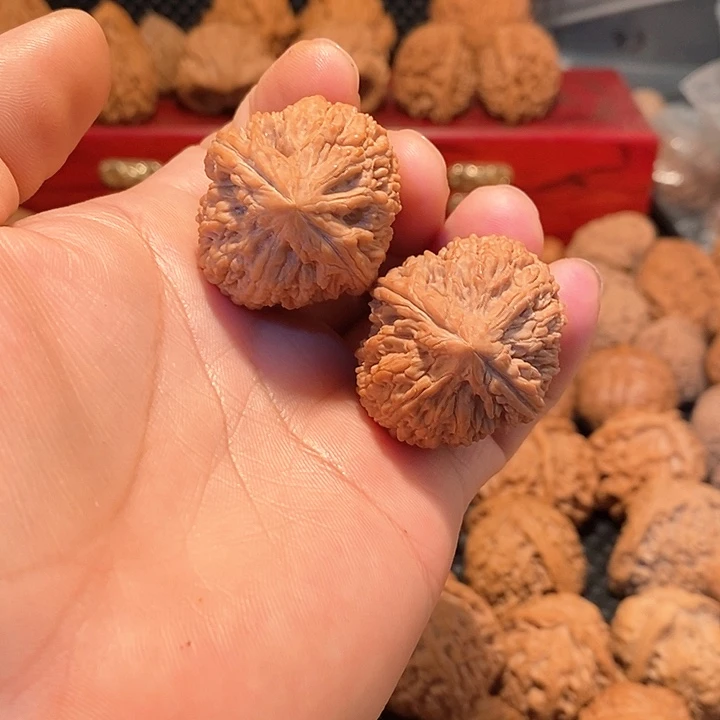 32左右大蒜头一对