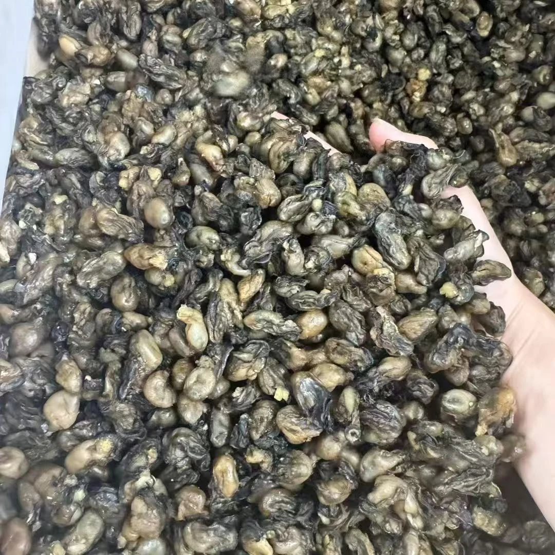 【新鲜足干】生蚝干牡蛎干海蛎子干淡干无盐海鲜干货火锅食材贝类