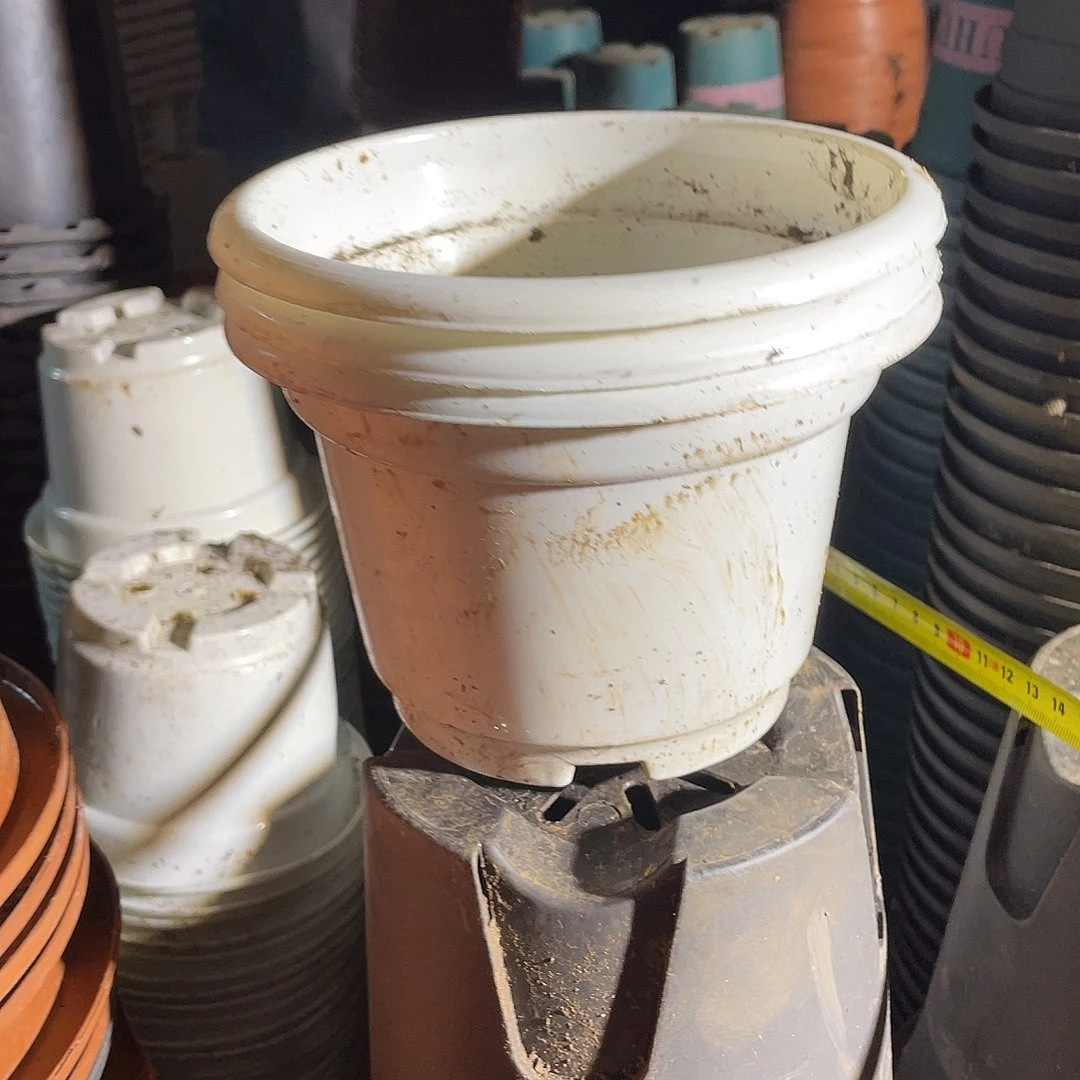 旧口径16高11白圆盆30个