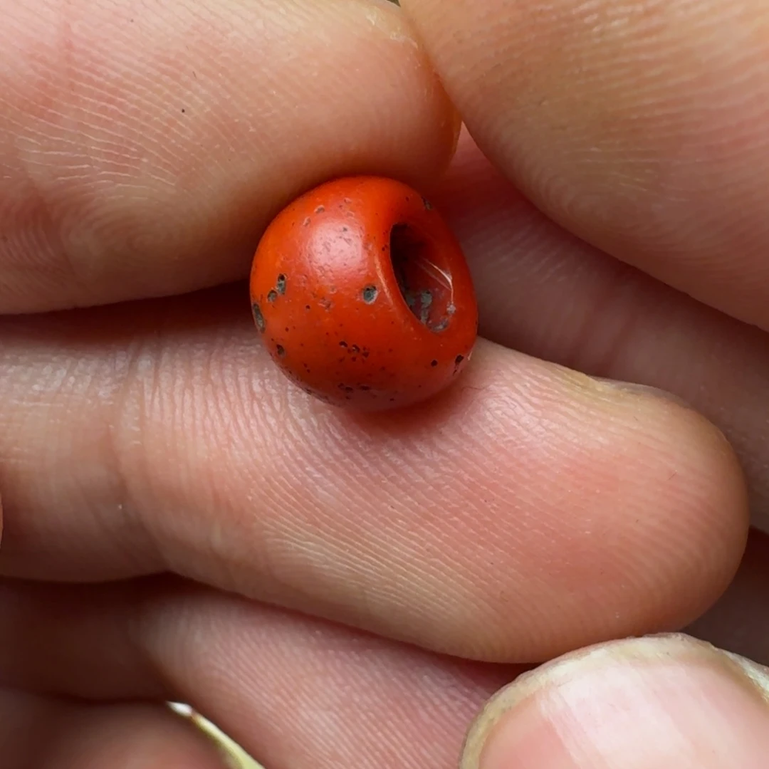 贝壳手串/手链$***$星月菩提