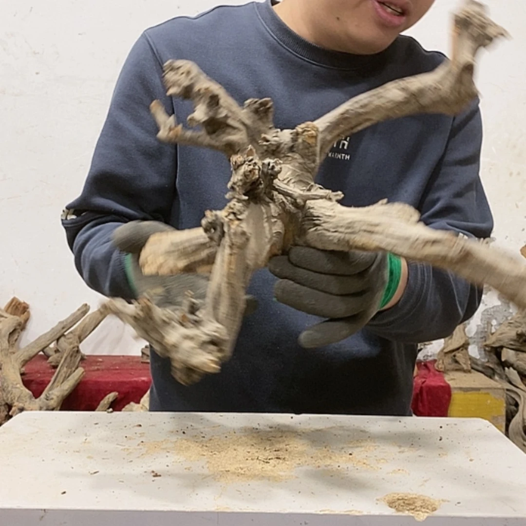 【闪购商品】柏木用****1我们都是好孩子