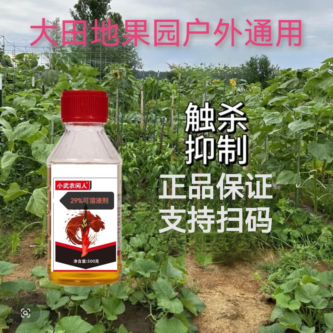 正品保证厂家直发果园大田农作物小菜蛾青虫支持扫码检测