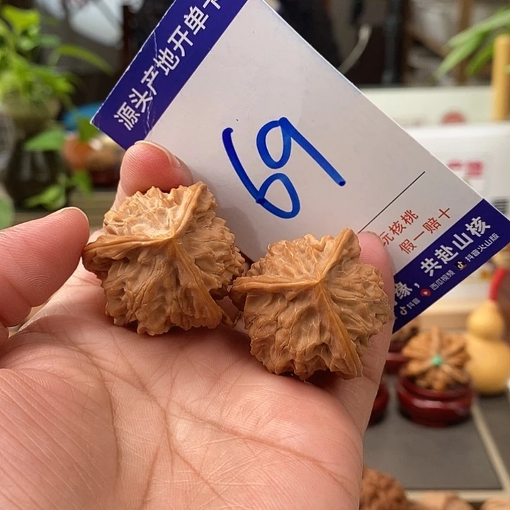 把件文玩核桃34天然盘山中桩奔69号
