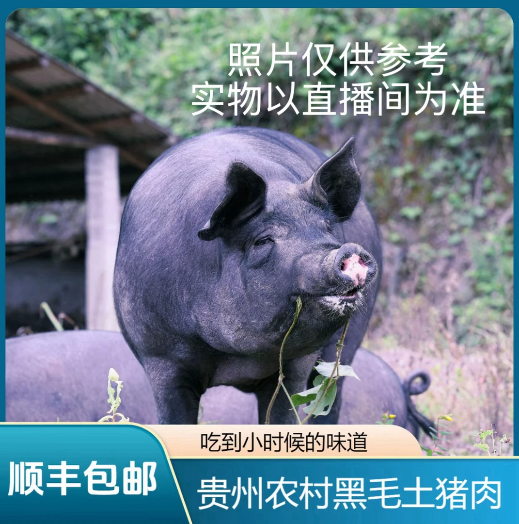 【猪杂链接】贵州熟食土猪 顺丰冷链一物一拍