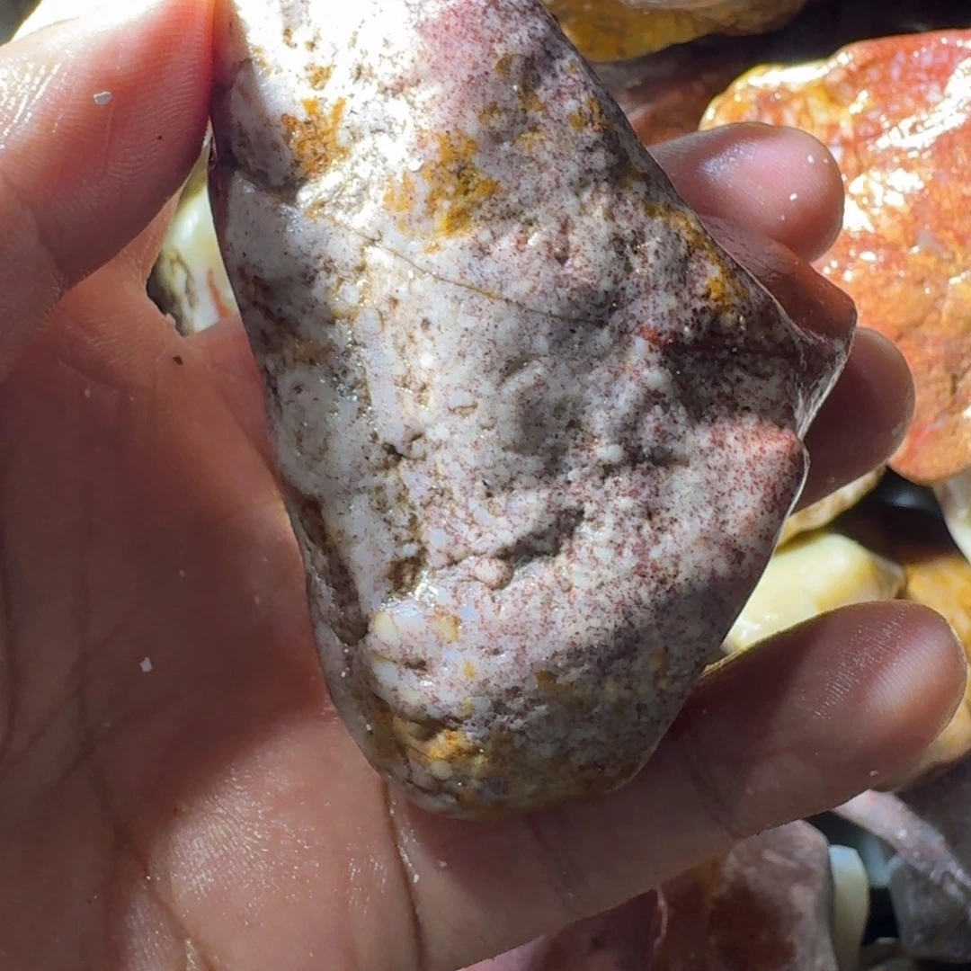 云***哥寿山石8998899998899