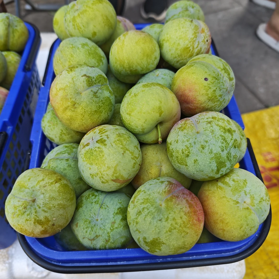 土李子脱骨李当季新鲜水果产地现摘酸甜可口脆爽大果多汁