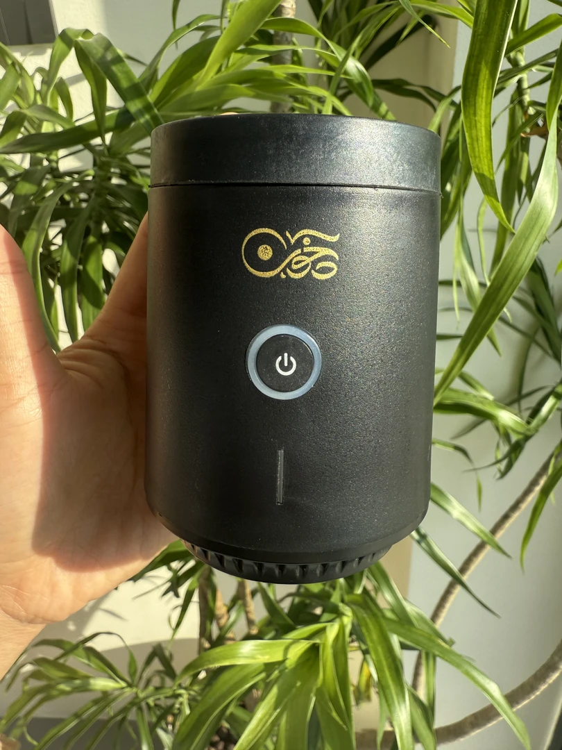 元旦 高温炉 白奇楠